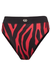 GOLDBERGH TEVY BRIEF