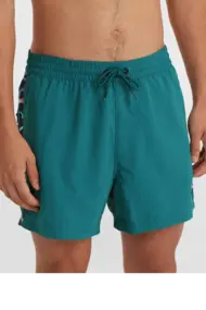 O'NEILL VERT RETRO 14" SWIM SHORTS